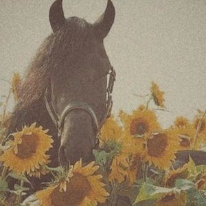 Meet your Posher, Jayden